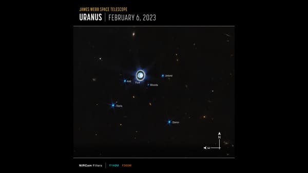 Vue élargie du système uranien avec l'instrument NIRCam de Webb montre la planète Uranus ainsi que six de ses 27 lunes connues.