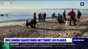 Vallauris Golfe-Juan: des chiens sauveteurs aident au nettoyage des plages
