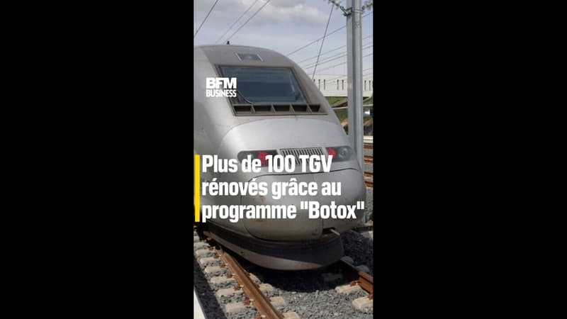 Une centaine de TGV rénovés par le 
