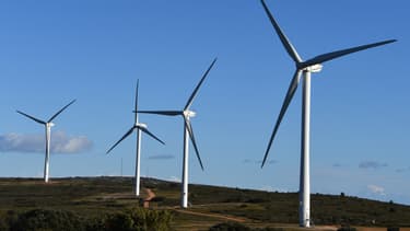 Le secteur des énergies renouvelables a créé plus de 500.000 emplois l'an dernier. (image d'illustration)