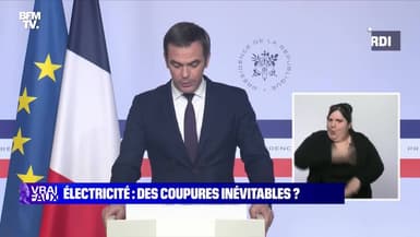 Électricité : des coupures de courant inévitables cet hiver ? - 03/12