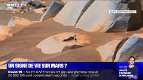 Non, une forme humaine n'a pas été retrouvée sur Mars