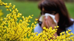La saison des allergies aux pollens a débuté précocement en 2016. (photo d'illustration)