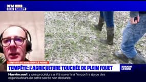 Pas-de-Calais: les agriculteurs concernés par les coupures d'électricité