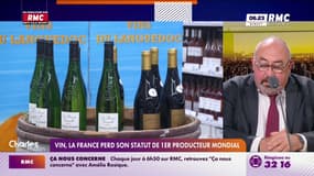 Vin, la France perd son statut de 1er producteur mondial