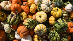 Une photo de courges prise à Puchheim en Allemagne, le 2 octobre 2019.