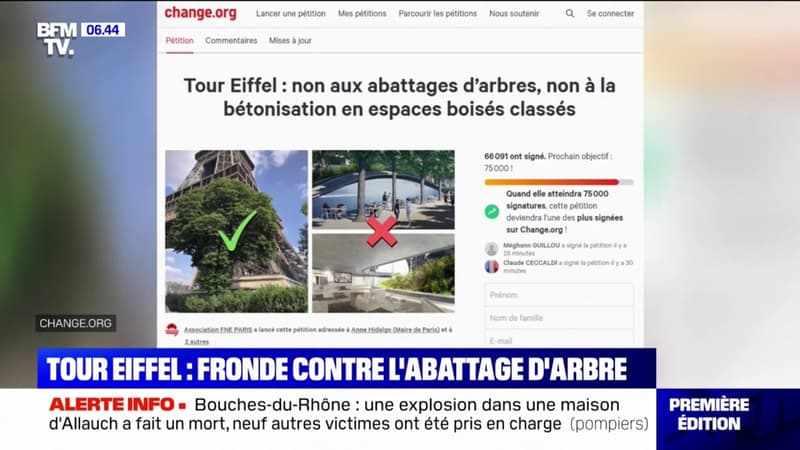 Tour Eiffel: la fronde s'organise contre le projet d'abattage d'arbres