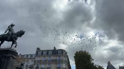Des pigeons dans le ciel de la commune de Saint-Venant dans le Pas-de-Calais