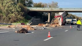 Un accident sur l'A43 près de Lyon, le 8 novembre 2023.