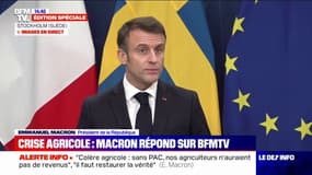 Agriculture: Emmanuel Macron veut "réguler l'arrivée" de la volaille en provenance d'Ukraine