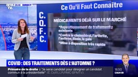 Traitement du Covid-19: quelles sont les pistes étudiées ? 