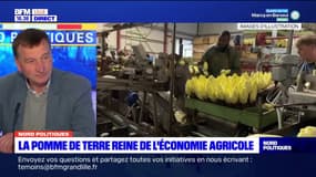 Hauts-de-France: le président de la chambre d'agriculture Nord-Pas-de-Calais, souligne l'importance d'avoir une production régionale "diversifiée"