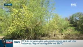 Disparition de Leo: aucune trace de l'enfant de 3 ans après 6 jours de recherche