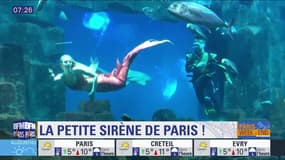 Paris Découverte : La petite sirène de Paris !