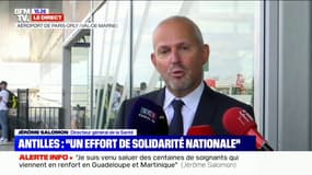 Jérôme Salomon: "Plus de 900 professionnels de santé (…) viennent soutenir leurs collègues" aux Antilles 