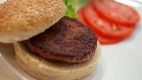 Le premier burger conçu in vitro par une équipe de chercheurs devait être cuisiné et servi lundi à Londres. Créé en laboratoire à partir de cellules souches de boeuf, ce burger est le premier exemple de ce qui pourrait être une réponse aux pénuries alimen