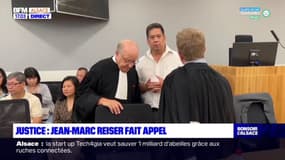 Affaire Sophie Le Tan: Jean-Marc Reiser fait appel de sa condamnation