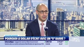 Culture Bourse : « Pourquoi le dollar s'écrit avec un "s" barré ($) ? », par Julie Cohen-Heurton - 02/02 