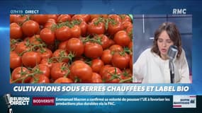 Dupin Quotidien : Cultivations sous serres chauffées et label bio - 07/05