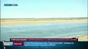 En 30 ans, la Baie de Somme en Picardie a perdu 80% de ses poissons !