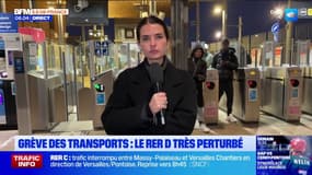 Grève des transports en Ile-de-France: le RER D très perturbé