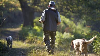 Un homme marche avec son chien lors d'une partie de chasse à Itxassou, en France, le 11 septembre 2016. (photo d'illustration)