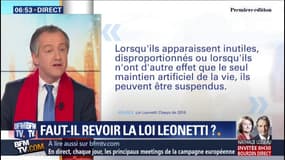 Affaire Vincent Lambert: faut-il revoir la loi Leonetti sur la fin de vie?