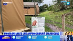 Montagne verte: un camping urbain à Strasbourg