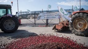 Les agriculteurs avaient bloqué l'une des entrées de la raffinerie. 