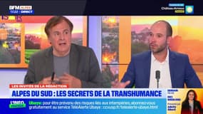 Alpes du Sud: ils ont réalisé un film sur "les dernières grandes transhumances"