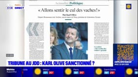 Le député des Yvelines Karl Olive risque des sanctions du groupe Renaissance pour avoir signé une tribune dans le JDD