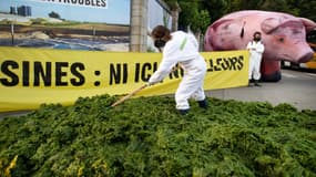 Des algues vertes devant la préfecture du Finistère