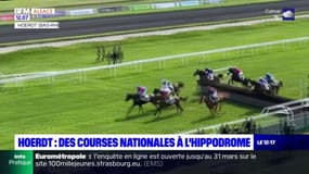 Hœrdt: l'hippodrome repart pour une nouvelle saison de courses