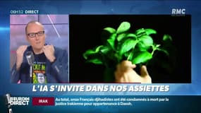 "C'est déjà demain": quand l’intelligence artificielle s’invite dans nos assiettes