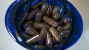 Des pilules à base de placenta séché et réduit en poudre.