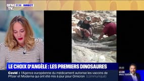 Le choix d'Angèle - Le propriétaire d'une maison découvre des ossements de dinosaures dans son jardin 