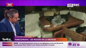 Narcotrafic : Les routes de la drogue