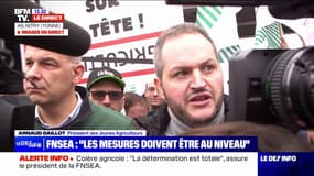 Blocage de Paris par les agriculteurs: "C'est l'un des derniers recours", affirme le président des Jeunes Agriculteurs