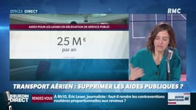 "Dupin Quotidien": transport aérien: faut-il supprimer les aides publiques ?