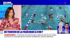 Musées, piscines... Les endroits pour trouver de la fraîcheur à Lyon