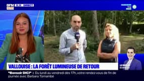 Vallouise: la forêt s'illumine jusqu'au 26 août