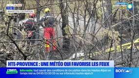 Haute-Provence : la météo favorise les feux de végétaux