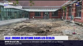 Lille: des cours d'écoles végétalisées