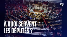  À quoi servent les députés ? 