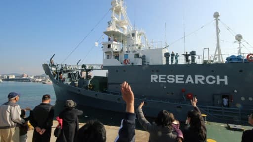 Un bateau quitte le port japonais de Shimonoseki pour une campagne de chasse à la baleine dans l'Antarctique, le 1er décembre 2015