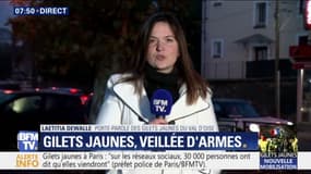 "On attend de voir" les annonces d'Emmanuel Macron "mais sans grand espoir", explique la porte-parole des gilets jaunes du Val d'Oise
