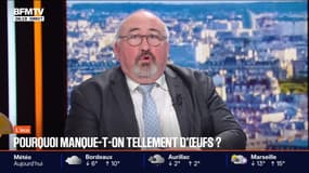 BFM Conso : Pourquoi manque-t-on tellement d'œufs ? - 22/12