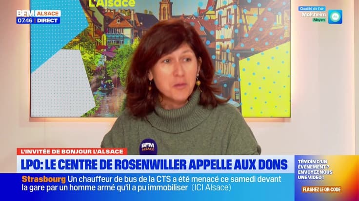 L'invitée de Bonjour Alsace du mardi 9 décembre 2025 - Cathy Zell