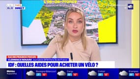 Île-de-France: quelles aides pour acheter un vélo? 