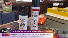 L'insécurité, un sentiment grandissant des Français